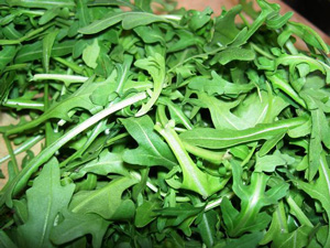 Rucola Selvatica
