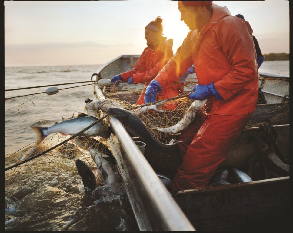 In Alaska è la stagione della pesca, una delle attività più