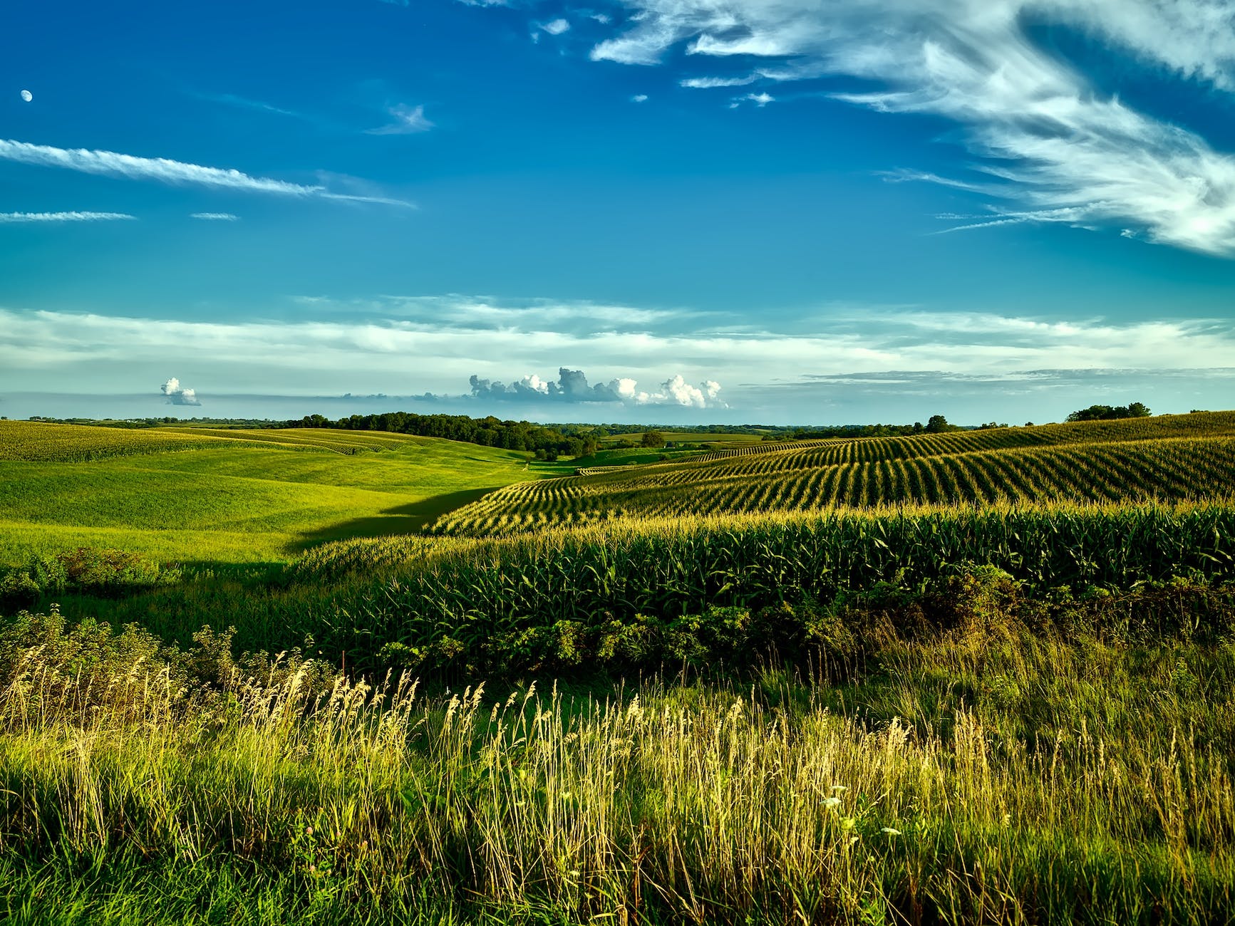 green grass field during day time