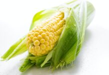 yellow corn