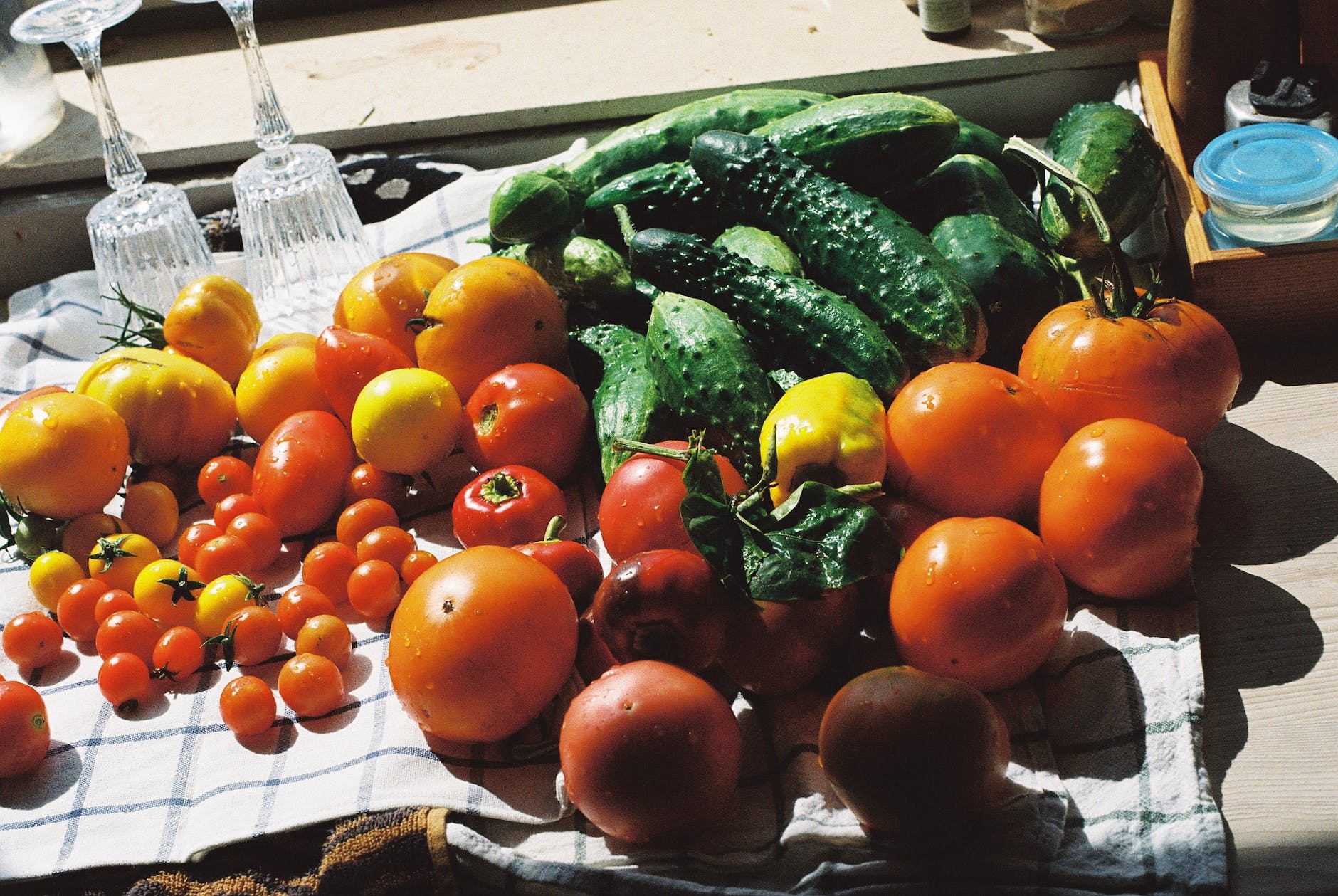 variety of vegetables on a checkered cloth