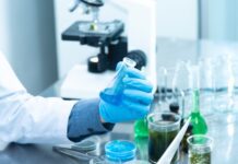 person holding laboratory flask