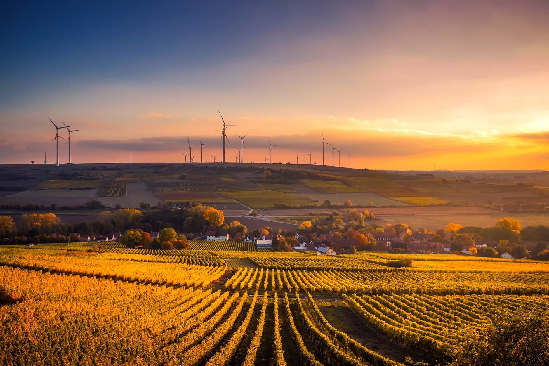 scenic view of agricultural field against sky during sunset