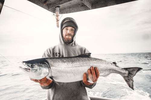 201401-Nathan-Pollock-Salmon-CM-Web-Small