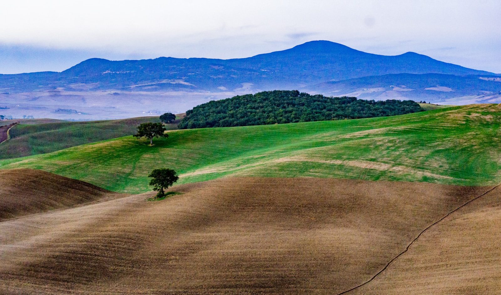 a view of a hilly area with trees and mountains in the background