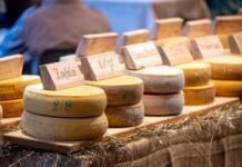 ForMandi parte dalla Barcolana e porta a Sutrio i sapori delle malghe 01-Sutrio_Formandi