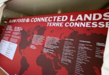 Terra Madre 2026, Torino diventa il centro della geografia mondiale del cibo IMG_3546-dimensioni-grandi