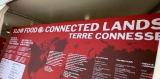 Terra Madre 2026, Torino diventa il centro della geografia mondiale del cibo IMG_3546-dimensioni-grandi