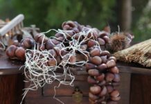 Castagne del Prete: profumi sapori e tradizioni di Natale nzerta-di-castagne